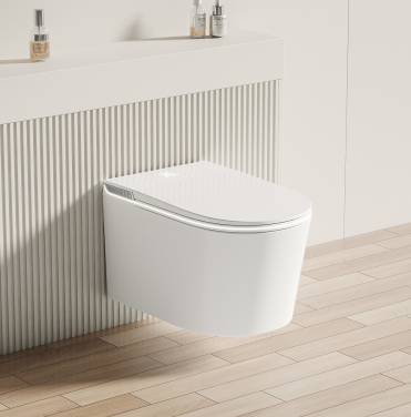 Allen Brau Smart 4.I1001.20 белый, с функцией биде