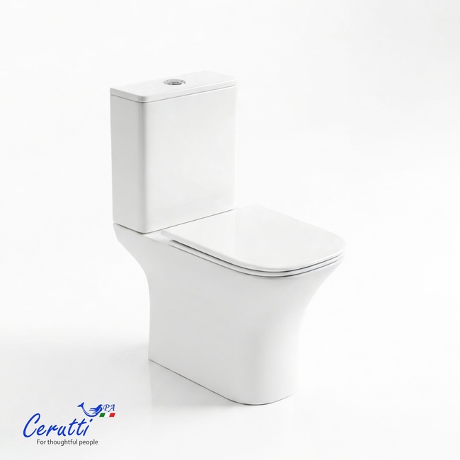 Ceruttispa Vettore CT7192
