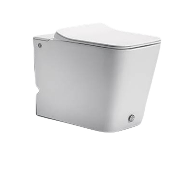 Ceruttispa Disgrazia Pulse CT7269 с функцией импульсного смыва