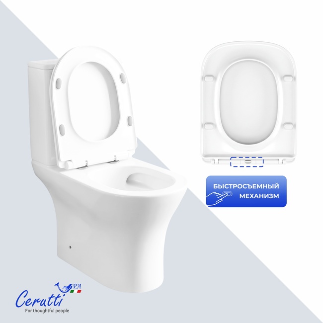 Ceruttispa Bernina CT7193