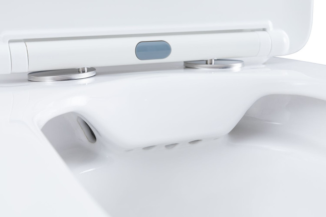 Aquanet Fine Rimless FINE-C Soft Close (чаша)